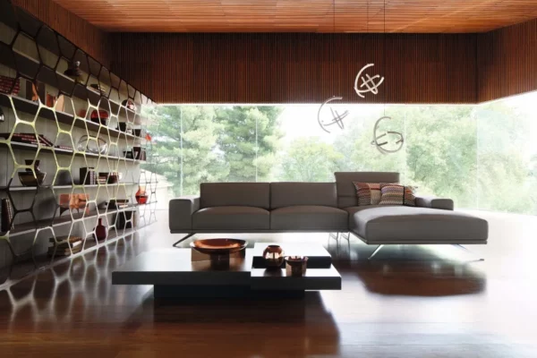 pollen-bookshelf_project_2