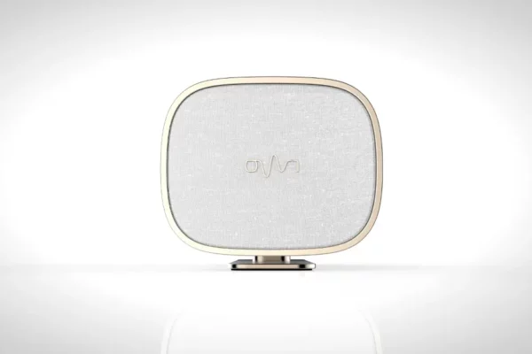 0w1-speaker_project_6